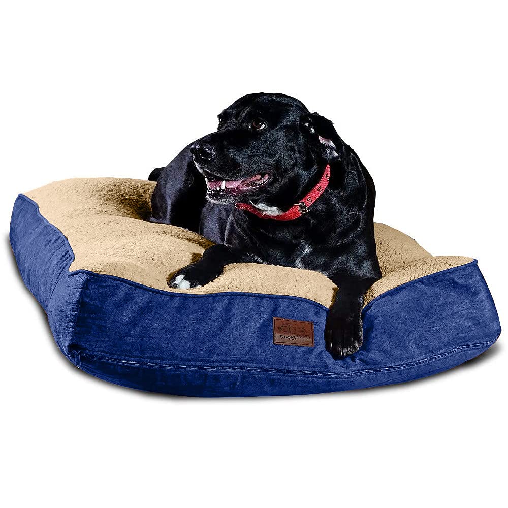 Extra Large Dog Bed with Blended Memory Foam, Removable Cover and Waterproof Liner. Made for Dogs up to 100lbs or More. (Blue and Beige)
