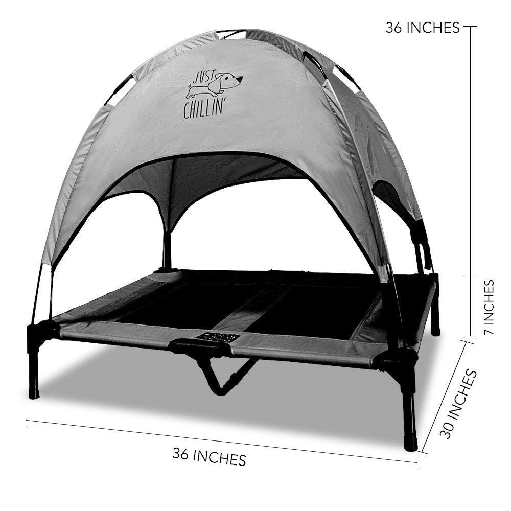 Zoofari outlet dog tent