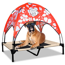 Load image into Gallery viewer, Just Chillin’ Elevated Dog Bed. LuxLife Edition - Premium Cot Includes Two Designer Canopies. Lightweight and Portable, Indoor or Outdoor. Chill in Style on Raised Breathable Mesh Fabric. Large 36 L x 30 W x 43 H