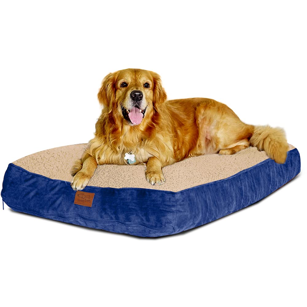 Large Dog Bed with Blended Memory Foam, Removable Cover and Waterproof Liner. Made for Dogs up to 90lbs. (Blue and Beige)