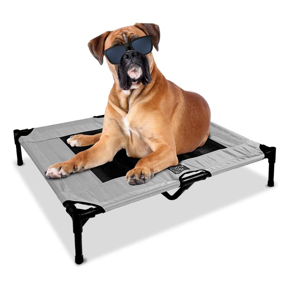 Just Chillin' Elevated Dog Bed Cot. Lightweight and Portable.  High Quality Steel Construction. 36