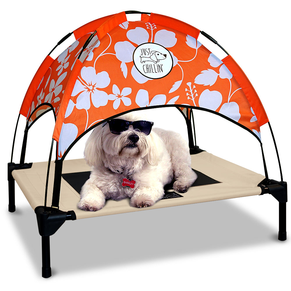 Just Chillin’ Elevated Dog Bed. LuxLife Edition - Premium Cot Includes Two Designer Canopies. Lightweight and Portable, Indoor or Outdoor. Chill in Style on Raised Breathable Mesh Fabric. Medium 30 L x 24 W x 28 H