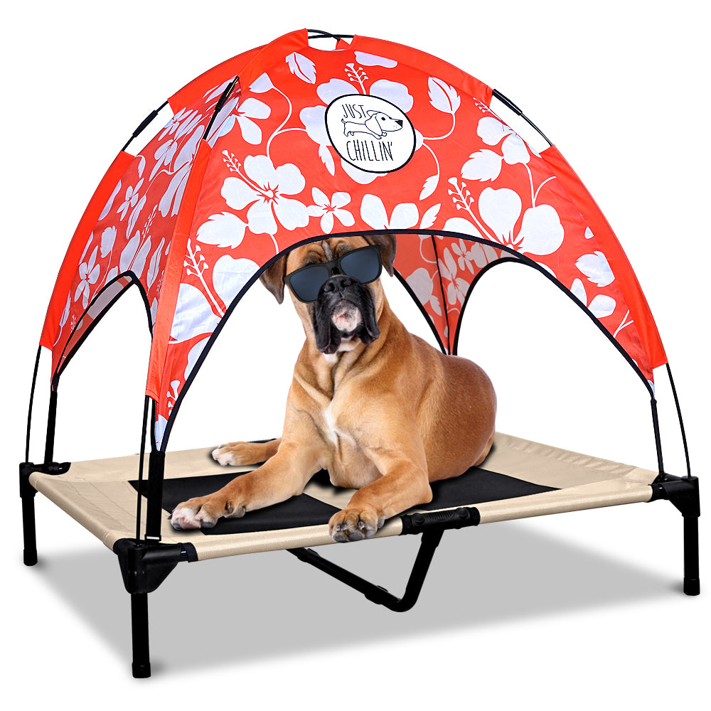 Just Chillin’ Elevated Dog Bed. LuxLife Edition - Premium Cot Includes Two Designer Canopies. Lightweight and Portable, Indoor or Outdoor. Chill in Style on Raised Breathable Mesh Fabric. Large 36 L x 30 W x 43 H